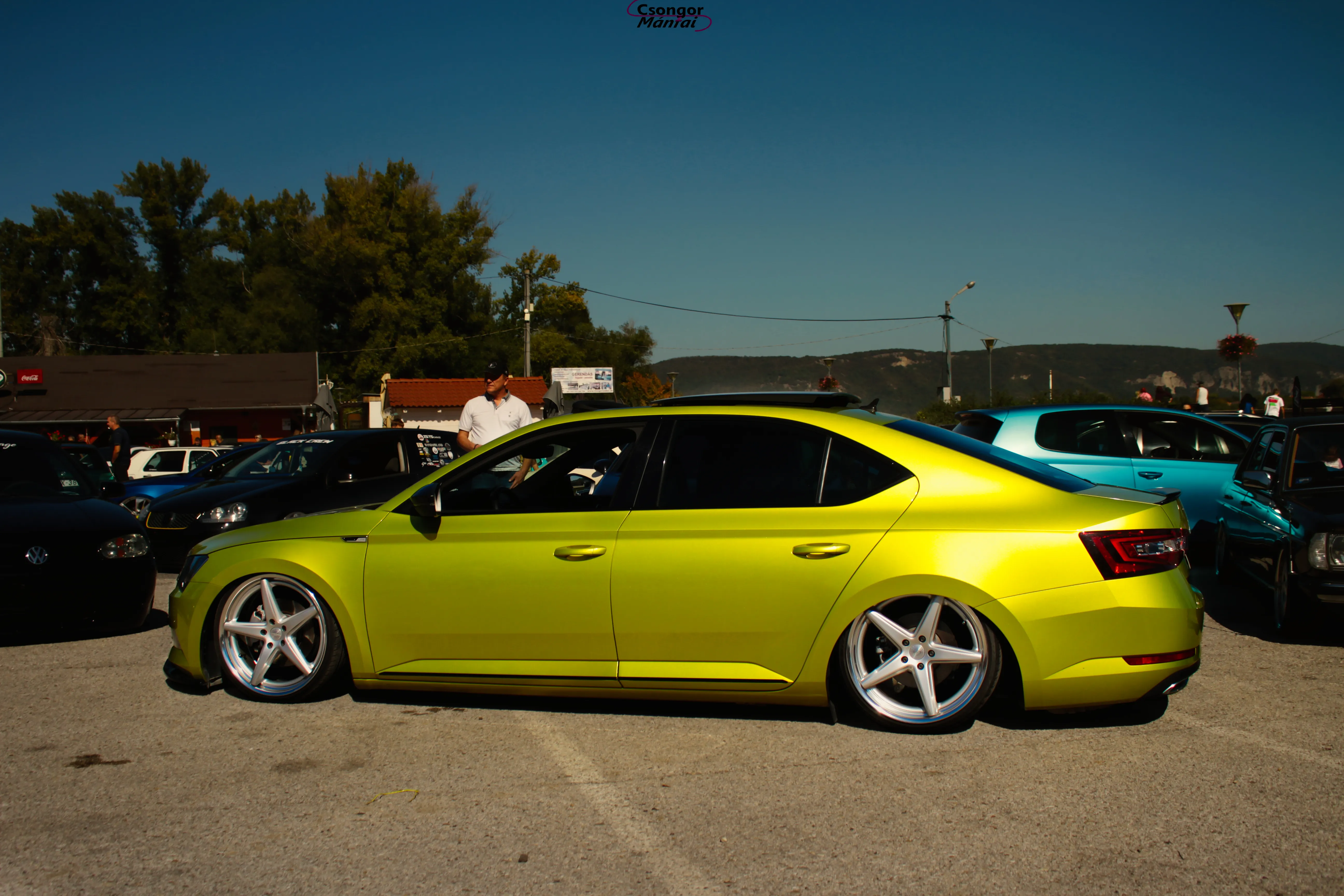 Skoda SuperB Detail Shot 1