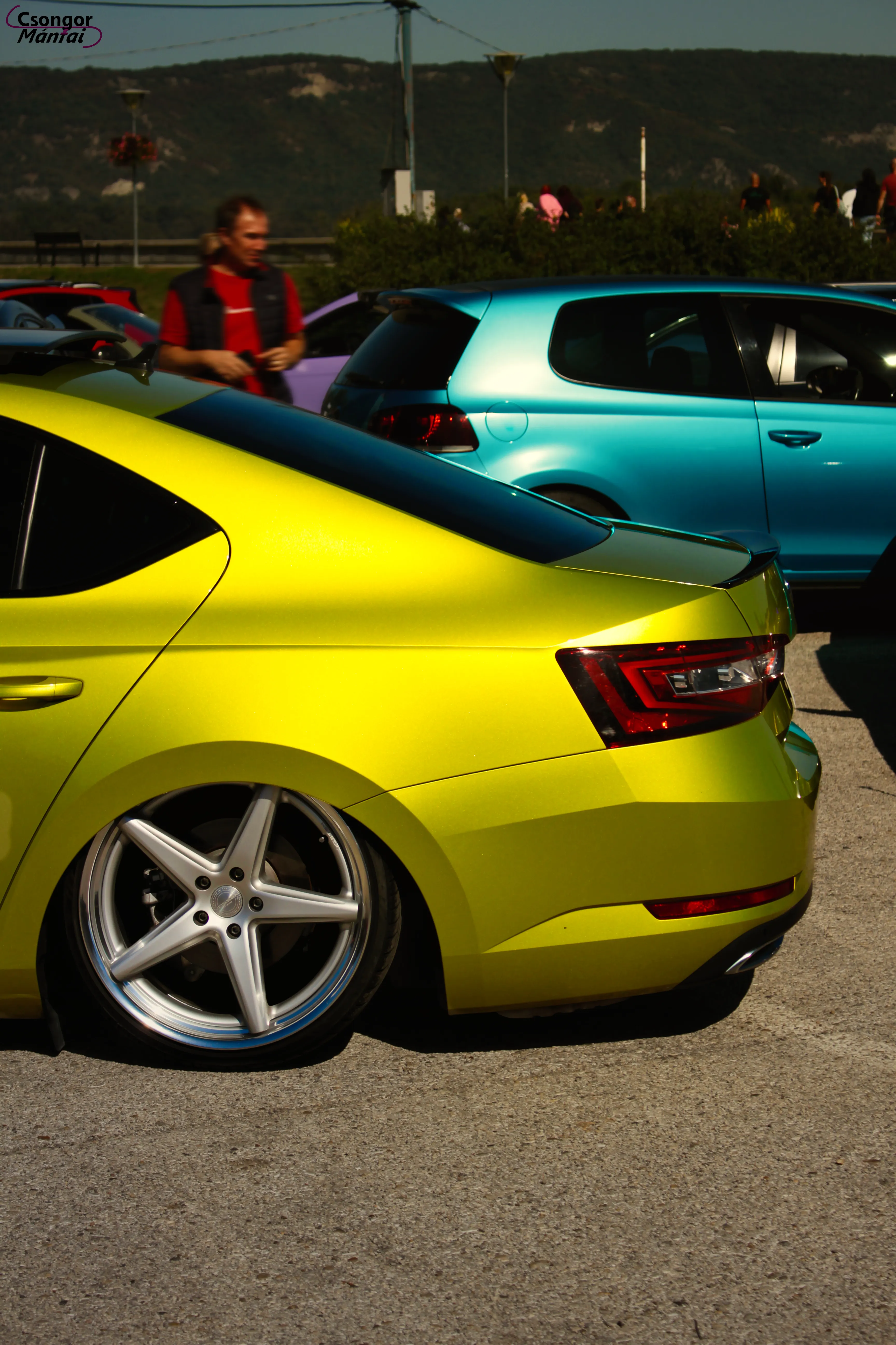 Skoda SuperB Detail Shot 2